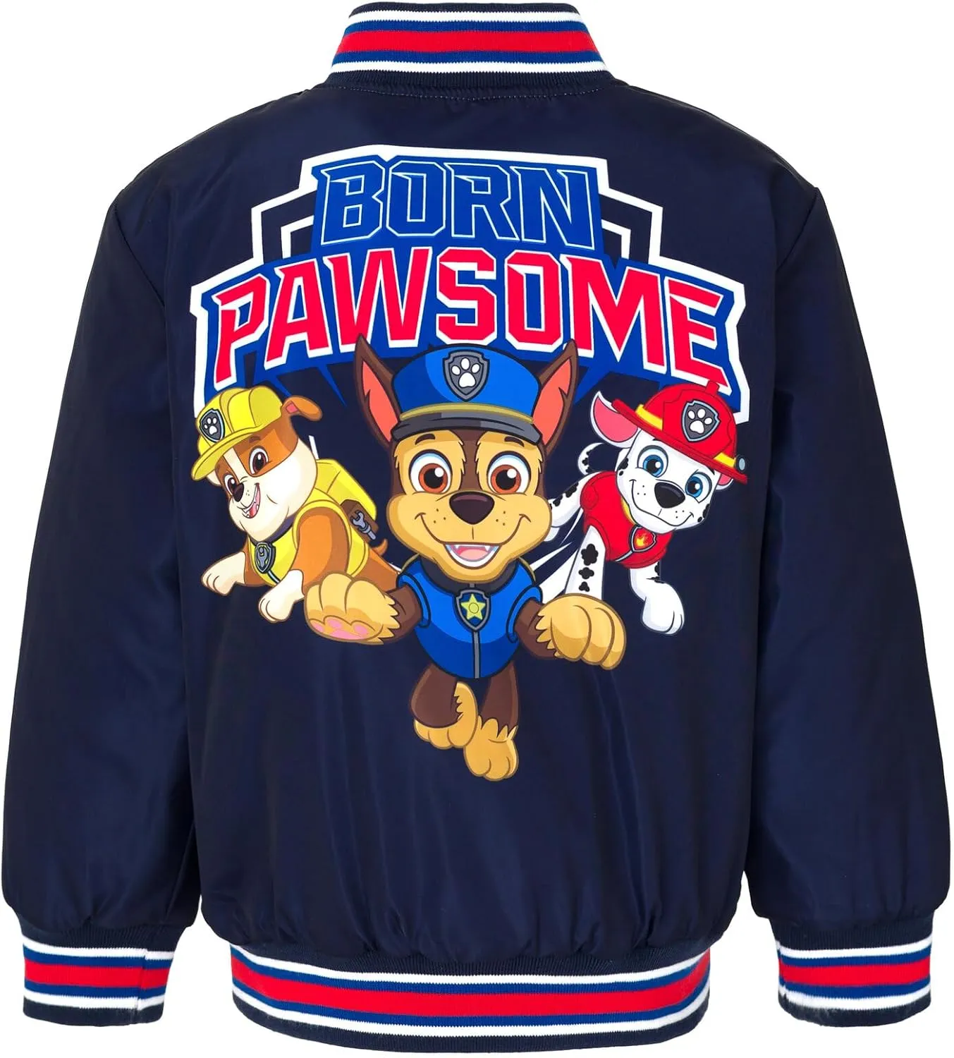 Paw Patrol Zip Up Varsity Bomber Jacket Toddler to Little Kid Sizes (2T - 7-8)